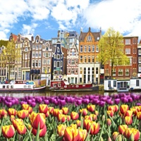 amsterdam-tulips.jpg